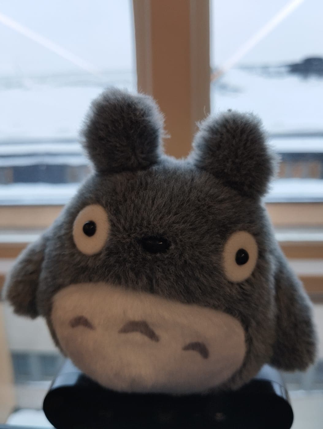 A snowy day at the office, with Totoro keeping watch